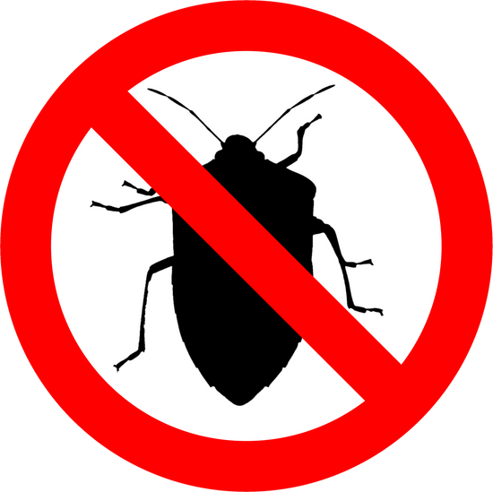 No Bugs Sign Transparent